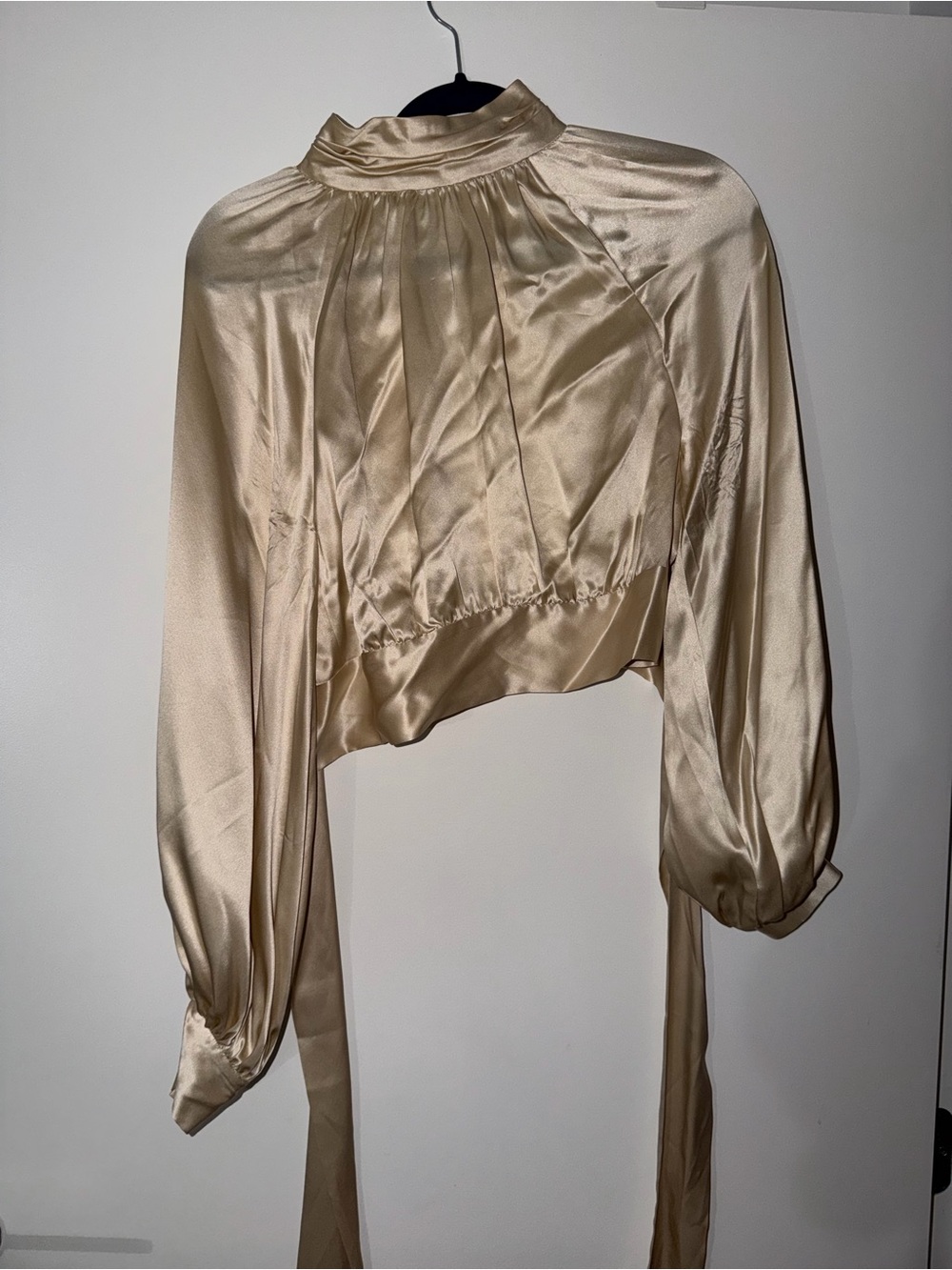 Reformation Champagne Satin Cropped High-Neck Blouse